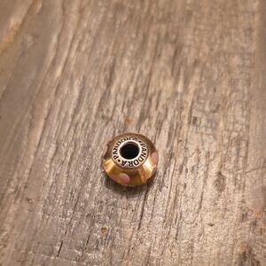 Pandora Rose Murano Charm